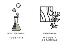 Load image into Gallery viewer, Santal Reed Diffuser