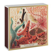 Load image into Gallery viewer, Great Barrier Reef | Square - Safety Matches