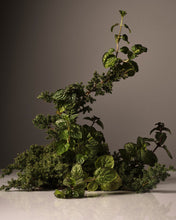 Load image into Gallery viewer, HOMECOURT - Hand Wash Refill