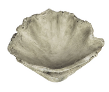 Load image into Gallery viewer, Concrete Clam Shell - Large