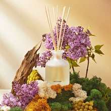 Load image into Gallery viewer, White Vetiver Reed Diffuser