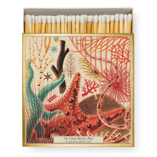 Load image into Gallery viewer, Great Barrier Reef | Square - Safety Matches