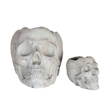 Load image into Gallery viewer, Concrete Skull
