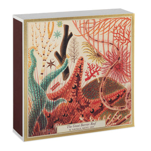 Great Barrier Reef | Square - Safety Matches