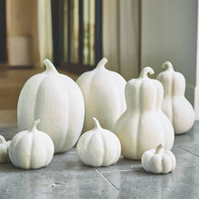 Load image into Gallery viewer, Paper Mache Pumpkin - Medium
