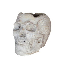 Load image into Gallery viewer, Concrete Skull
