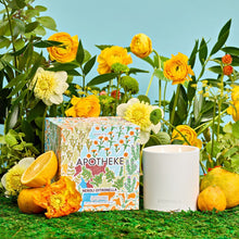 Load image into Gallery viewer, Neroli Citronella 2-Wick Candle
