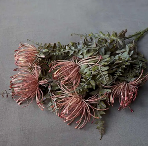 Leucospermum Bush Stem