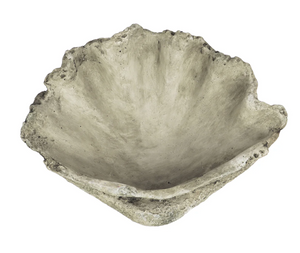 Concrete Clam Shell - Large