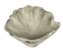 Load image into Gallery viewer, Concrete Clam Shell - Large
