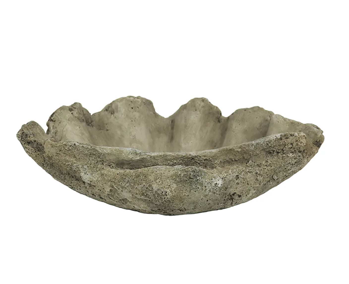 Concrete Clam Shell - Large – Row House Interiors