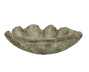 Concrete Clam Shell - Large