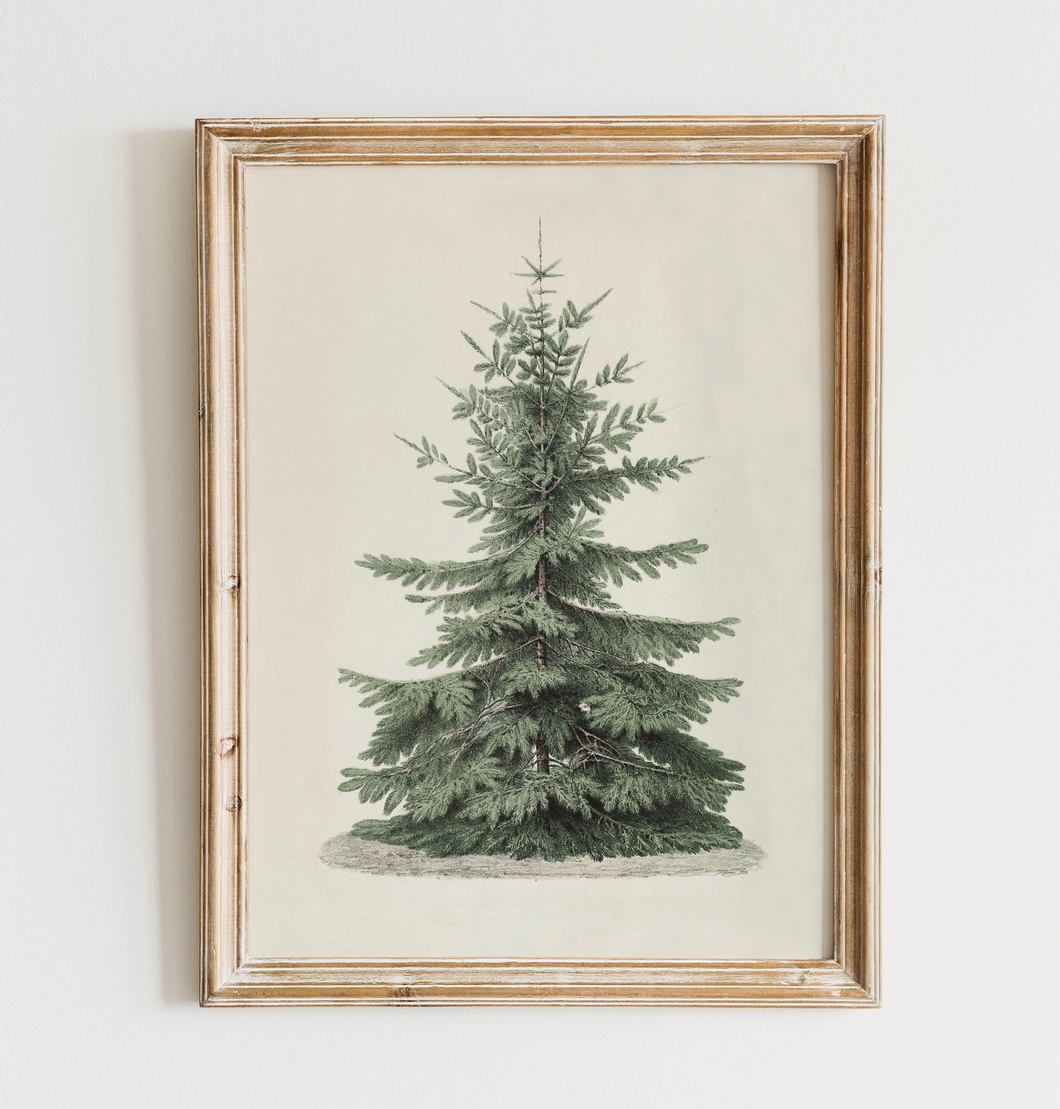 Vintage Christmas Tree Print