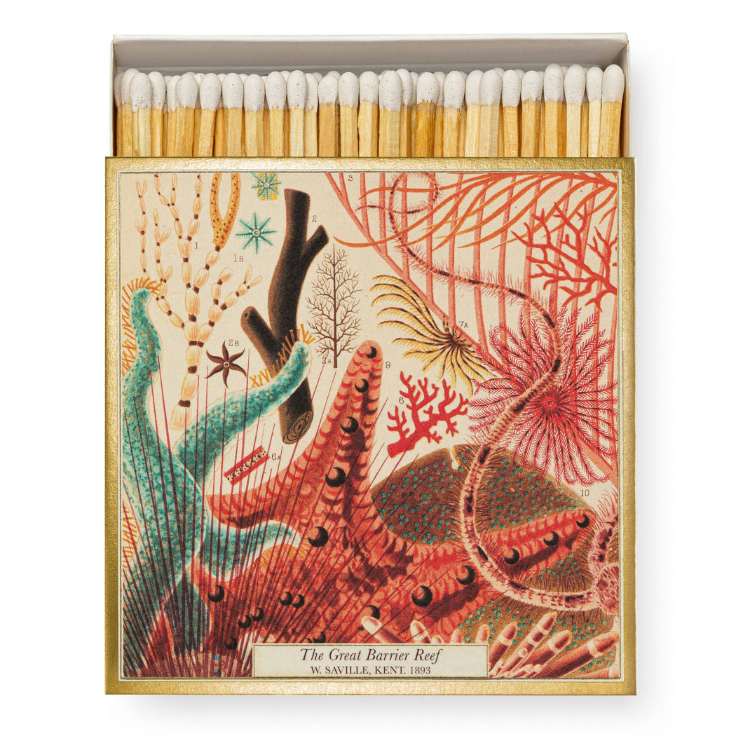 Great Barrier Reef | Square - Safety Matches
