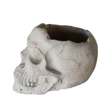 Load image into Gallery viewer, Concrete Skull
