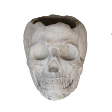 Load image into Gallery viewer, Concrete Skull
